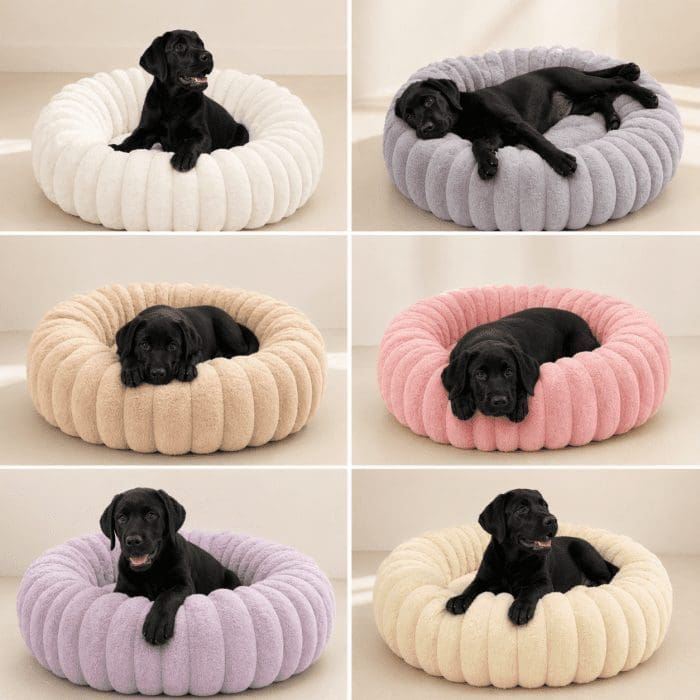 selection round-dog-beds