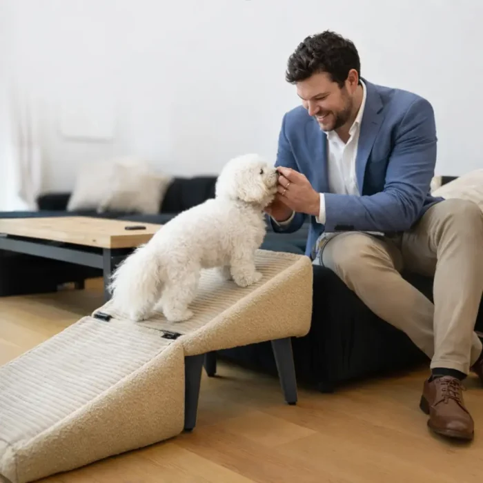 dog-ramp dog-ramp