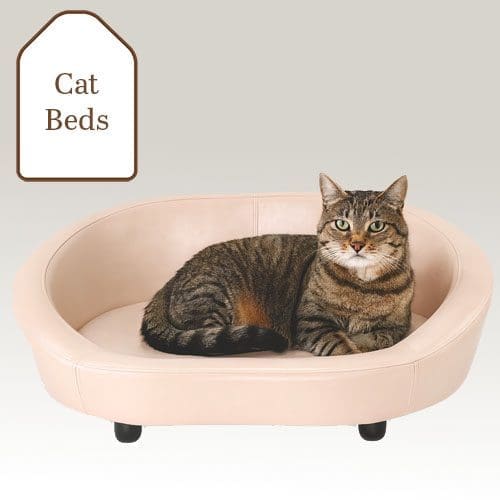 Cat Beds