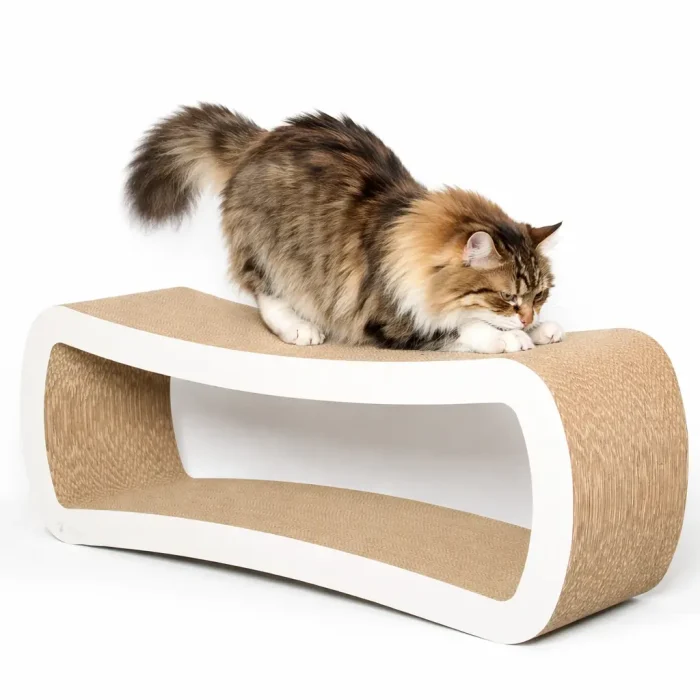 best-cat-scratcher