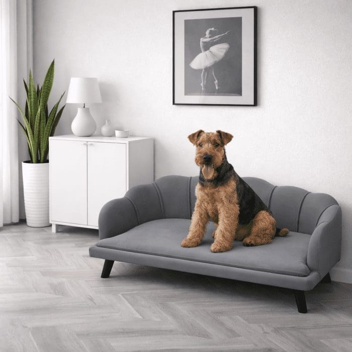 gray-opal-sofa gray-opal-sofa