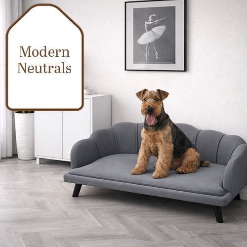 Modern Neutrals